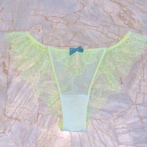 VS Eyelash Lace Mesh Bikini Panty Gorgeous Medium